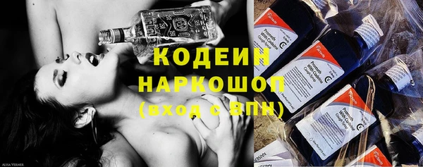 гашик Бородино