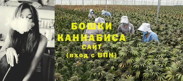 гашик Бородино