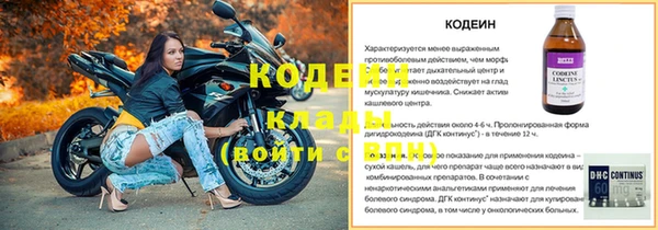 гашик Бородино